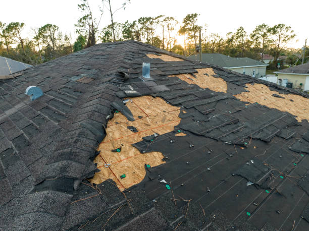 Best Asphalt Shingle Roofing  in Hampton, SC